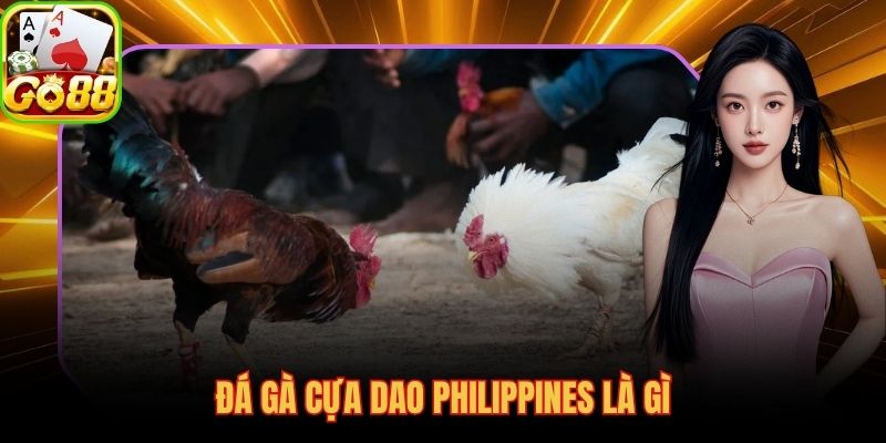 Đá gà cựa dao là gì? Sabong Philippines với lưỡi thép sắc bén