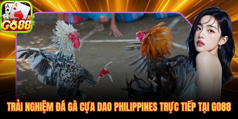 Live stream sabong Philippines thực tế và bảng kèo odds cập nhật liên tục
